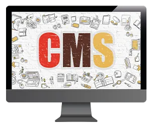 CMS